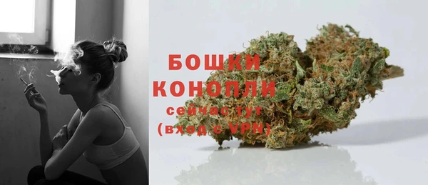 бошки Новодвинск