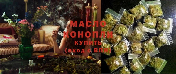 дмт Няндома