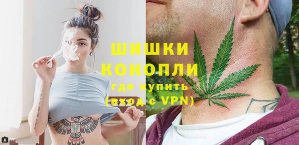 бошки Новодвинск