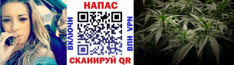 как найти   Оса  МАРИХУАНА тримм 